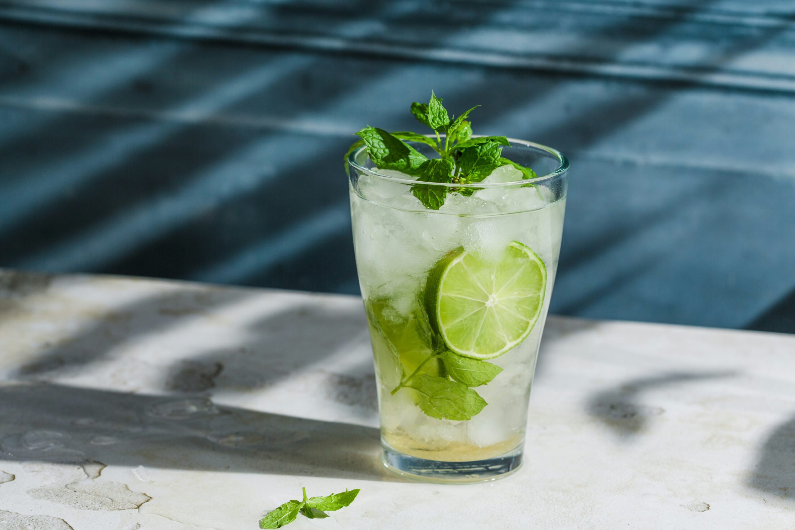 Mojito - F&B Scene Mojito