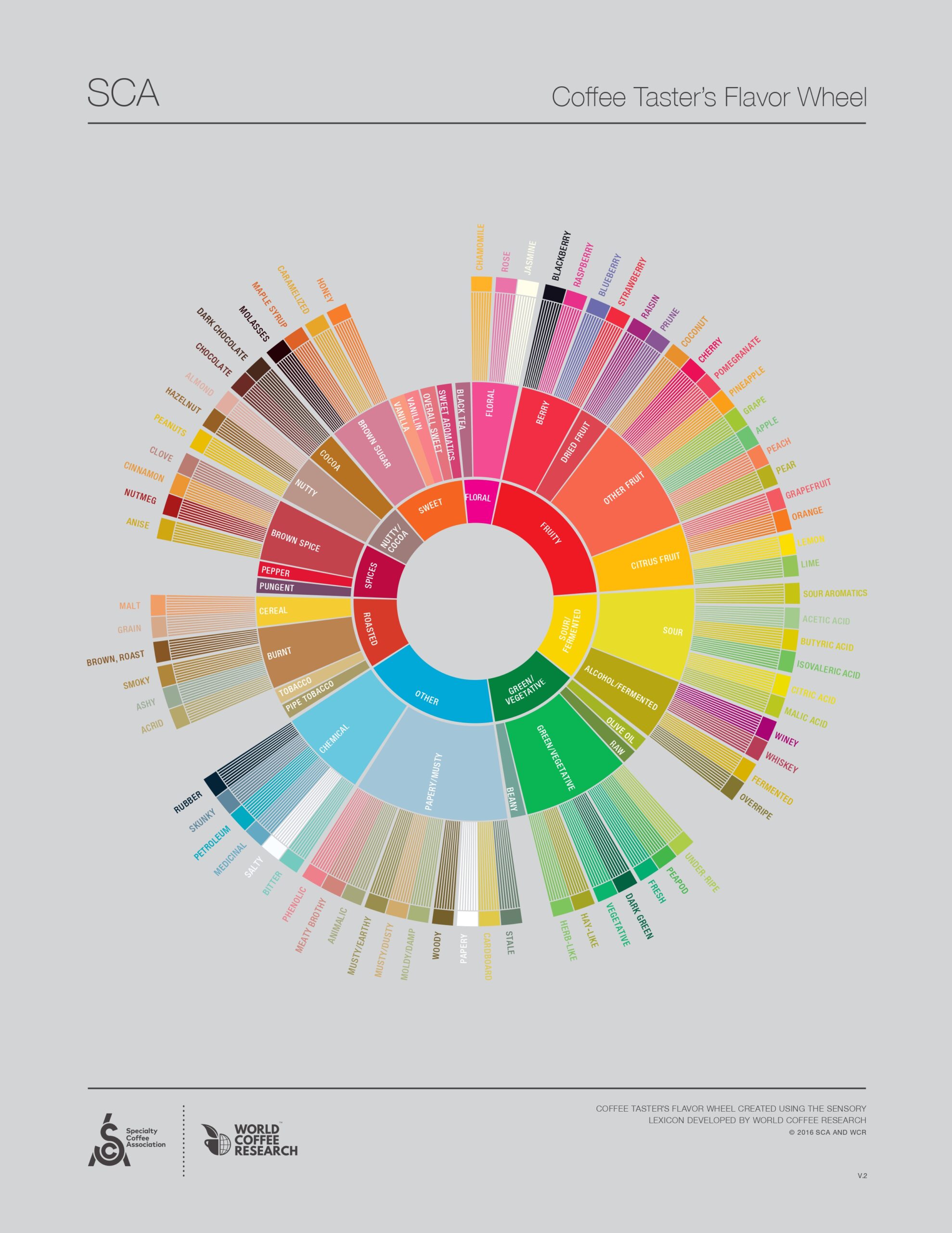 The Coffee Taster's Flavor Wheel_Specialty Coffee Association - F&B Scene The Coffee Taster's Flavor Wheel_Specialty Coffee Association