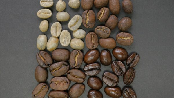 スペシャルティコーヒーとは？歴史や定義、他のコーヒーとの違いを解説